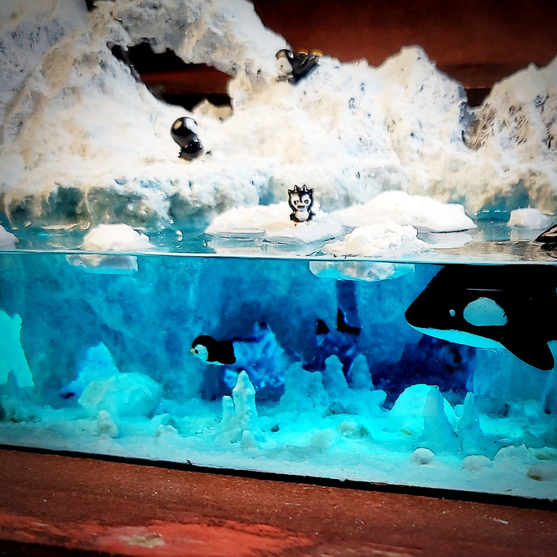 Antarctic Penguin Seal Orca Treasure Mistery Box Gift Epoxy Resin, Night Light
